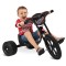Triciclo Velotrol Speed